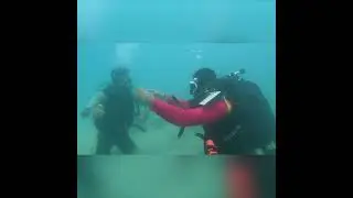 Diving the Persian Gulf of Iran