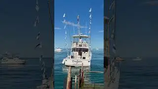 Limits of tuna today in Mexico.  #fishing #tuna #baja #mexico #fishbaja