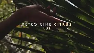 RETRO CINE CITRUS LUT | Sony a6300