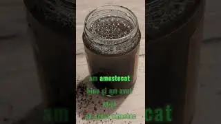 Primii Pași &icirc;n Testarea Solului 🌱