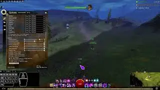 [Guild Wars 2] Use either mouse button to change direction in General Options