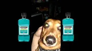 Baltimora - Tarzan Boy ULTMATE REVERB EDITION