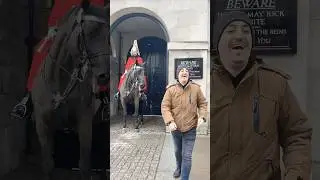 Love for Royal Guards horse #shorts #royalguards #horseguardsparade #london