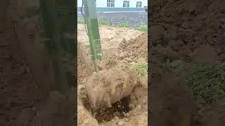 Гусеничный экскаватор на грузовике Одна машина с несколькими возможностями Экономия времени, усилий