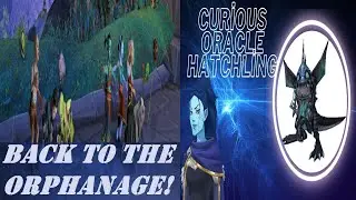 Back To The Orphanage! Wow Quest | Curious Oracle Hatchling Pet | Children's Week Event