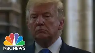 Examining Trump's Immigration Campaign Promises Four Years Later | NBC News NOW