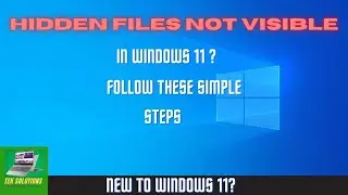 How to Show Hidden Files In Windows 11