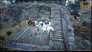 BDO New Guardian Class Leveling.