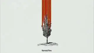 forest/fire - Man With Roses (Full album stream)