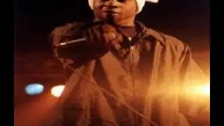 Wu Tang/Sunz of Man Timbo King - Freestyle