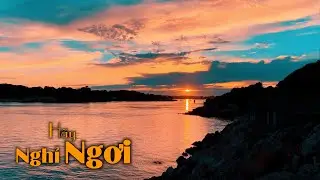 Nhạc không lời dịu nhẹ - cho tâm được nghỉ ngơi sau một ngày dài | 49 phút