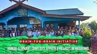 Grain-for-Grain initiative | Wildlife Trust of India | NGO | Human-Elephant-Conflicts | Nagaland ||