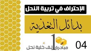 الإحتراف في تربية النحل - بدائل التغذية -ورشة العمل في جازان