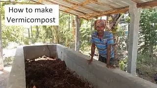 Vermicompost preparation in Tamil / Benefits of Vermicompost / மண் புழு உரம் தயாரிக்கும் முறை