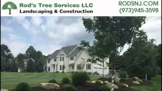 Tree Debris Cleanup Morris Plains NJ