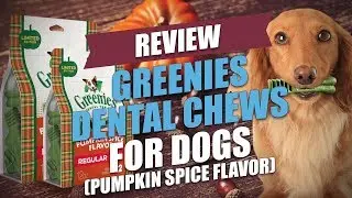 Greenies Dental Chews for Dogs (Pumpkin Spice Flavor) Review