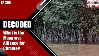 What is the Mangrove Alliance for Climate? | Mangrove Alliance for Climate | Business Standard