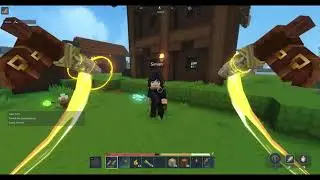NEVER MESS WITH Simon Hytale