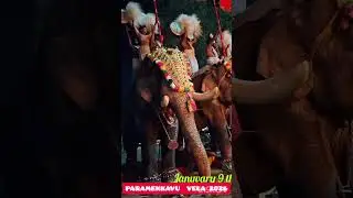Paramekkavu Bhagavathi Temple  vela January 9 th 2026,Thrissur, Kerala 🙏
