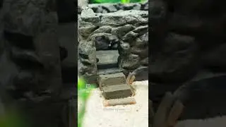 new mini house and jungle beautiful children video viral video 📹🏠