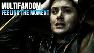 Multifandom || Feeling the Moment (collab w/ TheStudyOfChange)