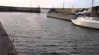 H&auml;vringe!