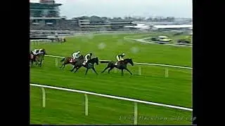 1995 Mackeson Gold Cup Dublin Flyer