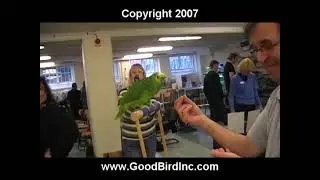 Parrot Behavior and Training Workshop