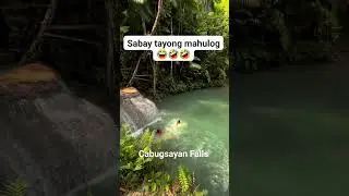 ferrywalk gonewrong