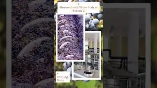 The Best Wine Podcast is Back:  Obsessed with Wine Podcast Season 2 Coming Soon