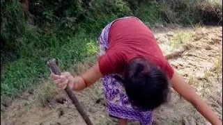 Amazing Girl Catch a Big Snake in my Village - How to Catch a Big Snake