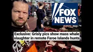 Fox News article on whaling