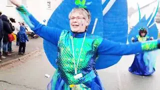 Rosenmontag 2019 in Hessen: Naumburger Narren feiern
