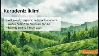 Türkiye'de İklim ve Bitki Örtüsü: Grafik Okuma Taktikleri ve Şifreler (KPSS/TYT)