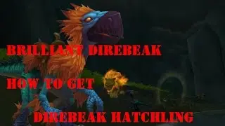 How to Get Direbeak Hatchling Pet and Brilliant Direbeak Mount
