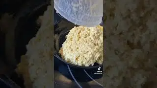 #Sourdough #Cornbread #workinprogress 🚧