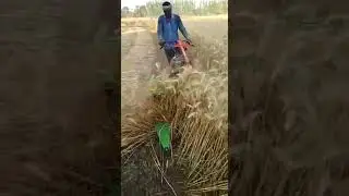 Vardhman Power Reaper