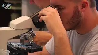Aula 8 (Prática) Diagnose de doenças de plantas I (1/2)