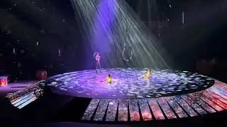 Ringling Brothers Barnum & Bailey Circus #aerialist #circusarts #aerialarts #aerialperformance