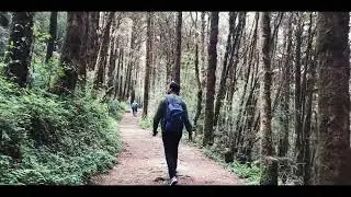 Barsey trek । Rhododendron santuary । May 2022 #trekking #travel #sikkim