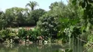 Beautifull Land in California  (909) 862-2826