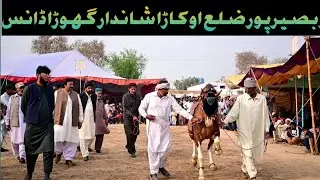 Amazing Horse Dance With Dhool In Pakistan ||Mela Function in Basir Pur Okara||#horsedance #dance