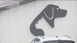 Minot City Council votes against extending animal shelter contract