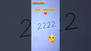 🐦2222 - love birds drawing easy❤️ | love birds chitra #shorts #viralvideo #drawing #love #birds