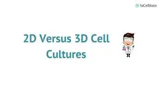3D vs 2D cell culture l Introduction to 3D biology