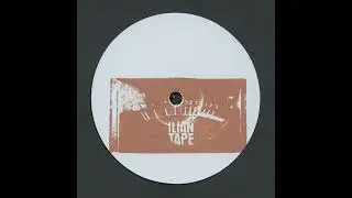 Fields Of Mist &ndash; Orbital Mist&nbsp;