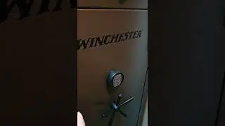 WINCHESTER makes a pretty affordable gun safe!