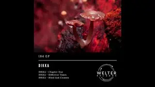 DIKKA - Different Times [WELTER184]