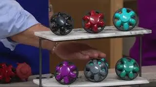 Disposal Genie Plus with Stopper & Scraper on QVC