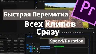 Ускорение Всех Клипов Сразу в Premiere Pro